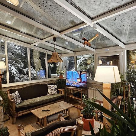 Boutique Hotel Forest Retreat (Adults Only) Busteni Exterior photo