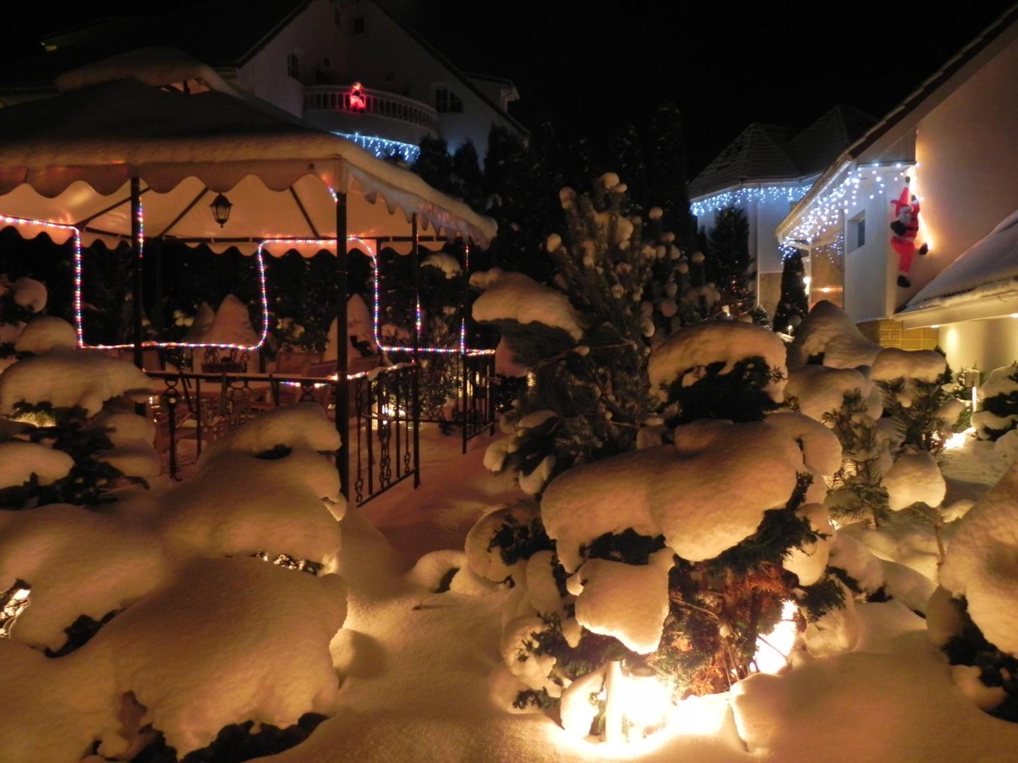 Boutique Hotel Forest Retreat (Adults Only) Busteni Exterior photo