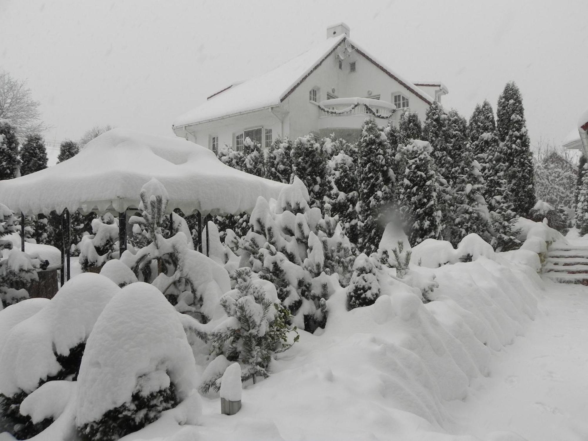 Boutique Hotel Forest Retreat (Adults Only) Busteni Exterior photo