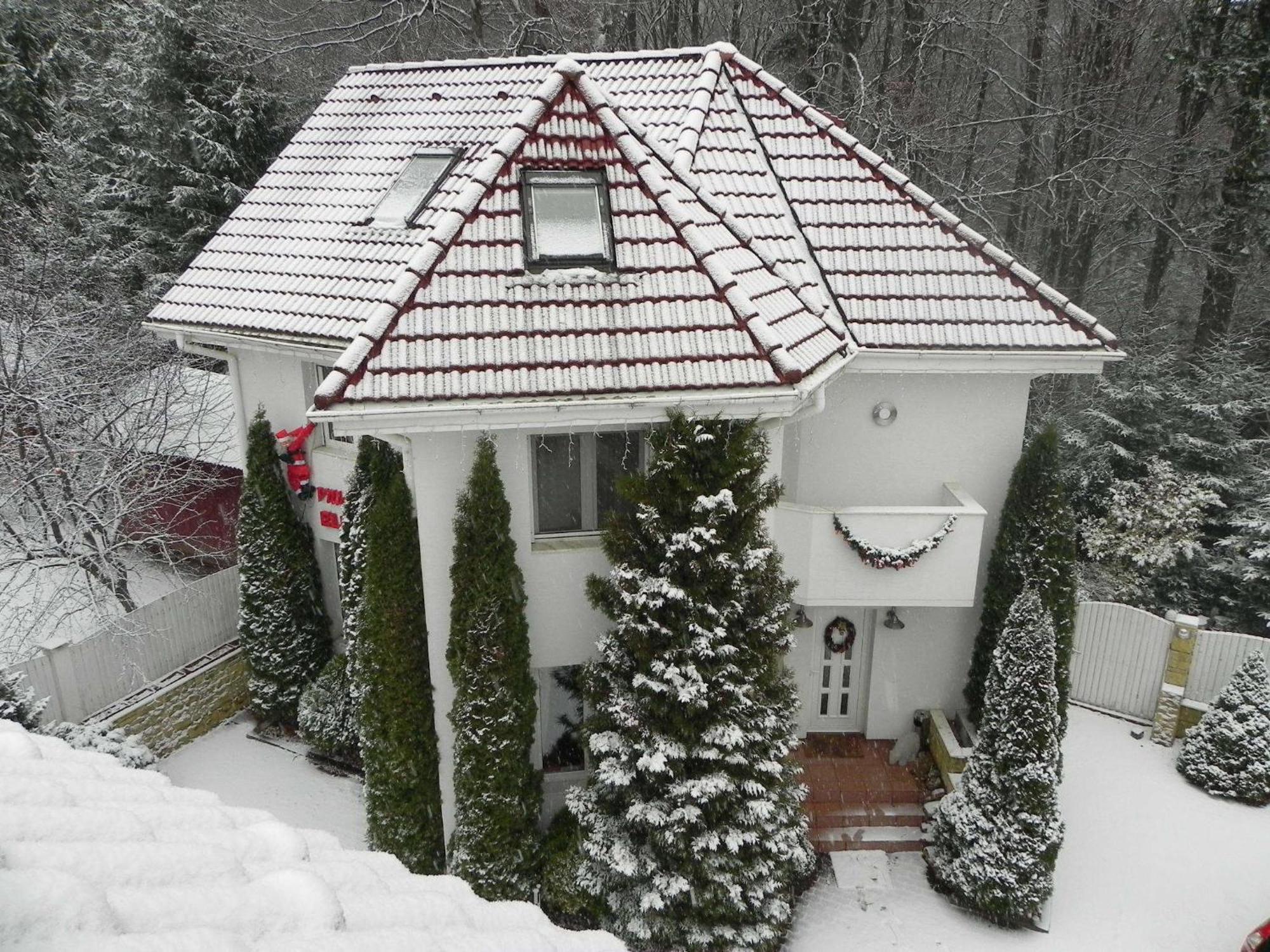 Boutique Hotel Forest Retreat (Adults Only) Busteni Exterior photo