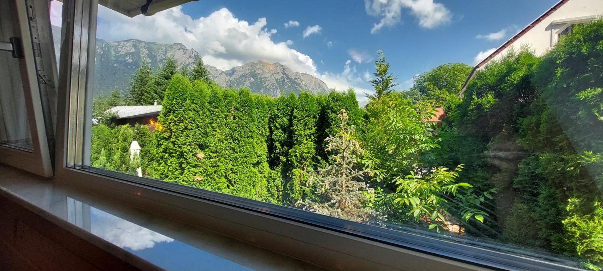 Boutique Hotel Forest Retreat (Adults Only) Busteni Exterior photo