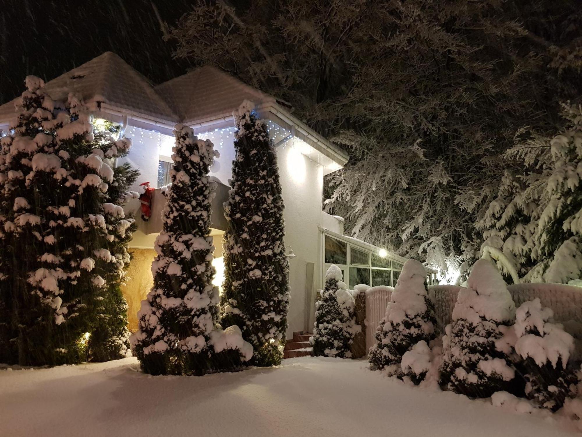 Boutique Hotel Forest Retreat (Adults Only) Busteni Exterior photo