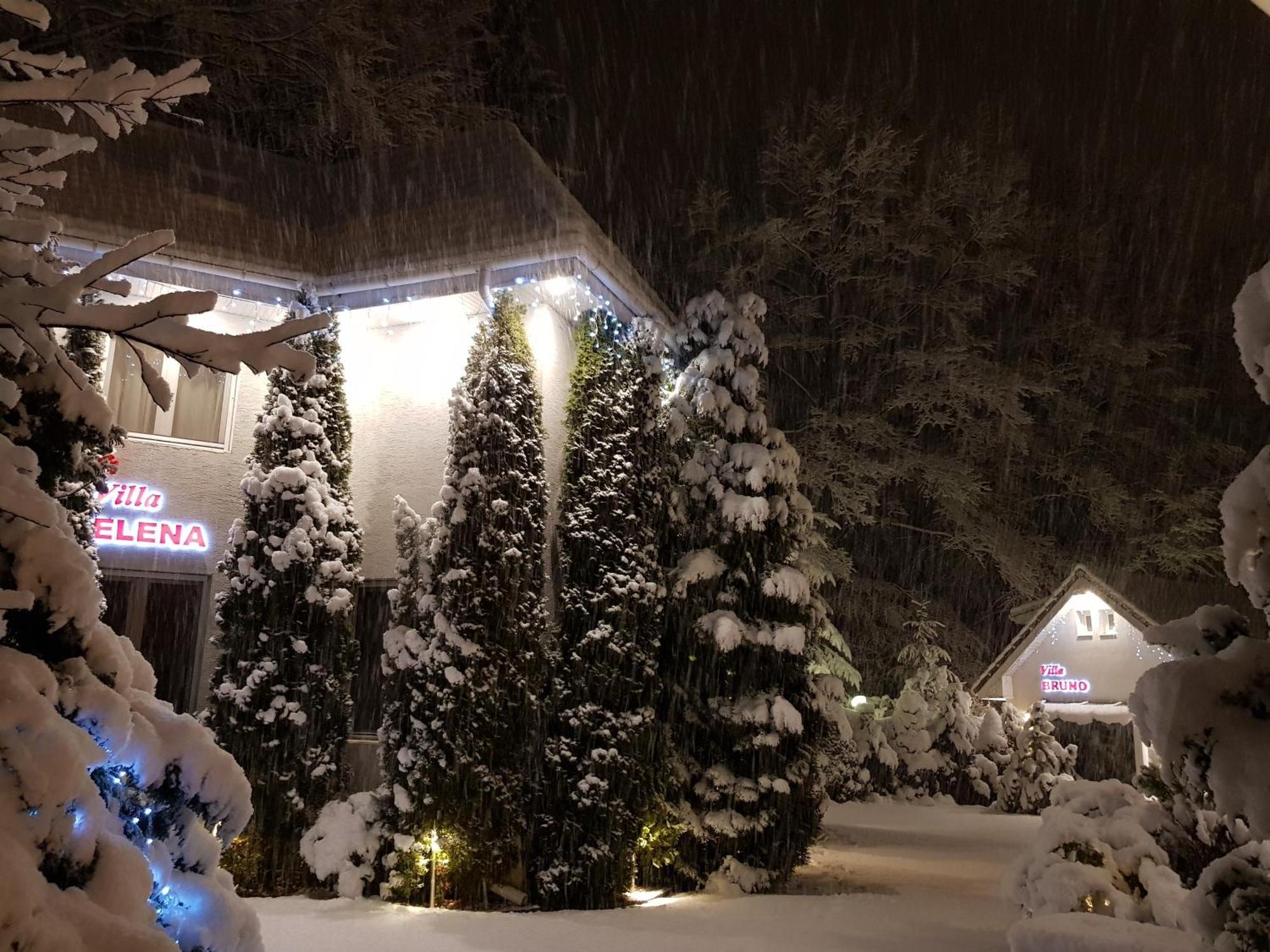 Boutique Hotel Forest Retreat (Adults Only) Busteni Exterior photo