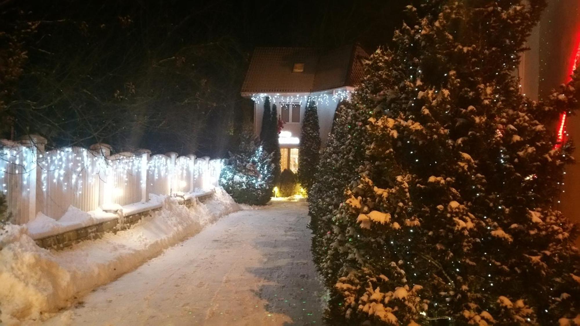 Boutique Hotel Forest Retreat (Adults Only) Busteni Exterior photo