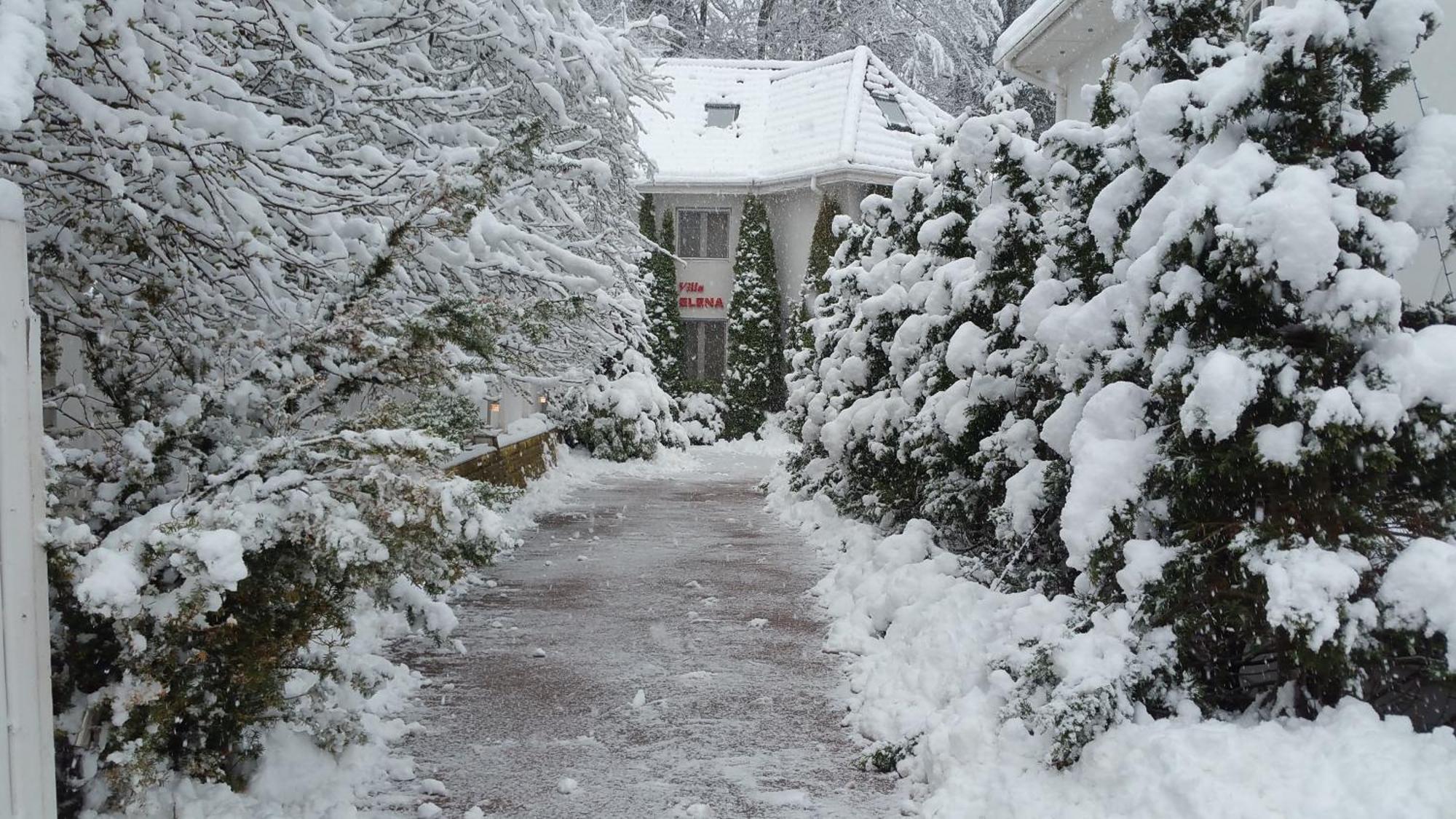 Boutique Hotel Forest Retreat (Adults Only) Busteni Exterior photo