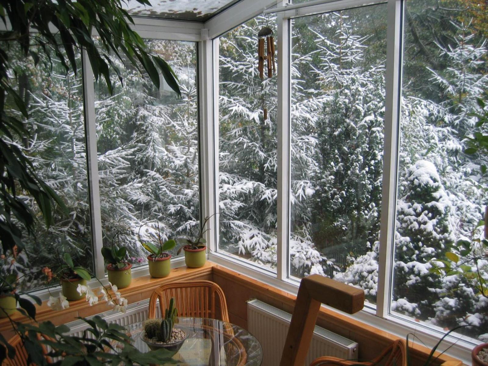 Boutique Hotel Forest Retreat (Adults Only) Busteni Exterior photo