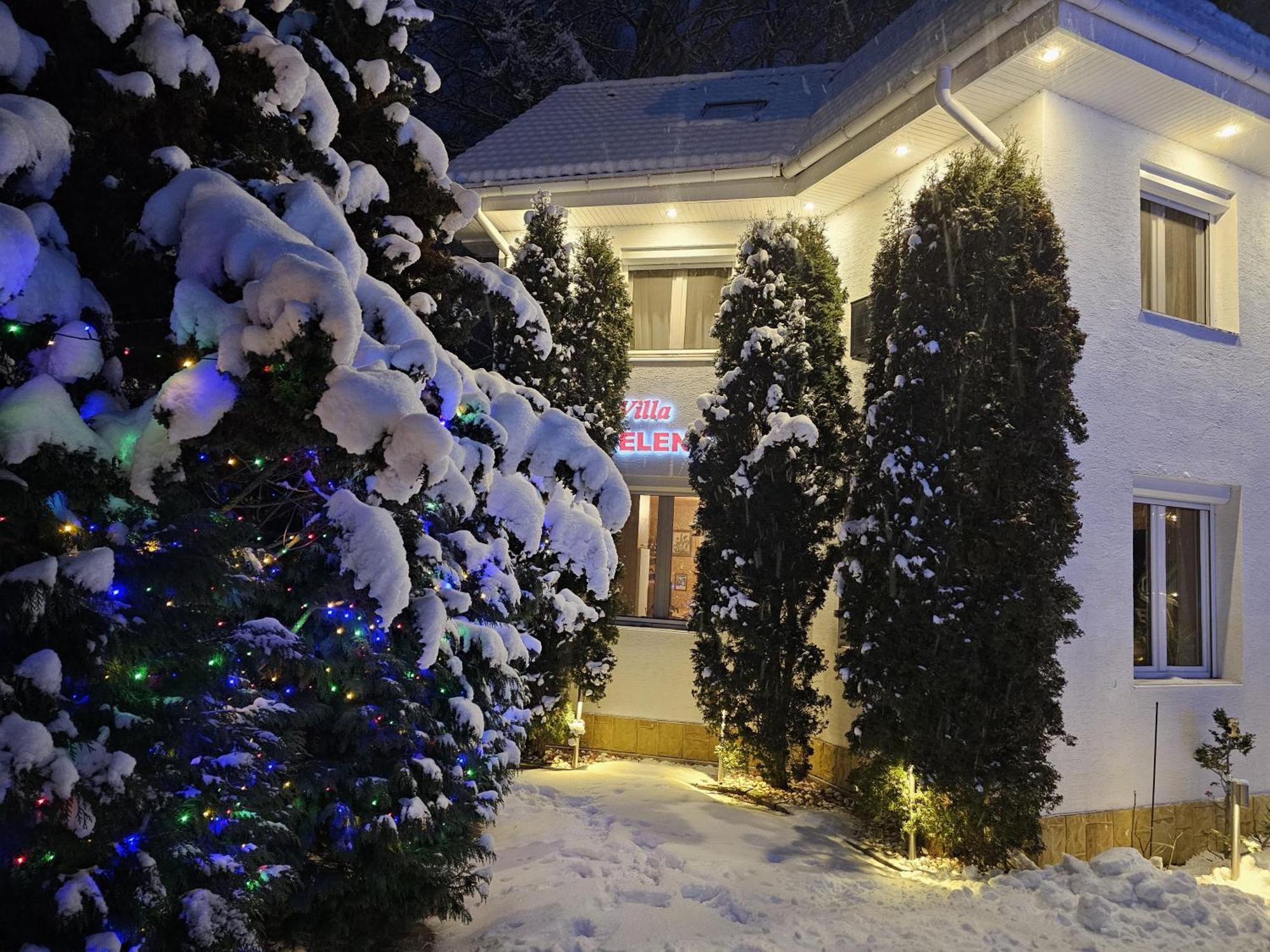 Boutique Hotel Forest Retreat (Adults Only) Busteni Exterior photo