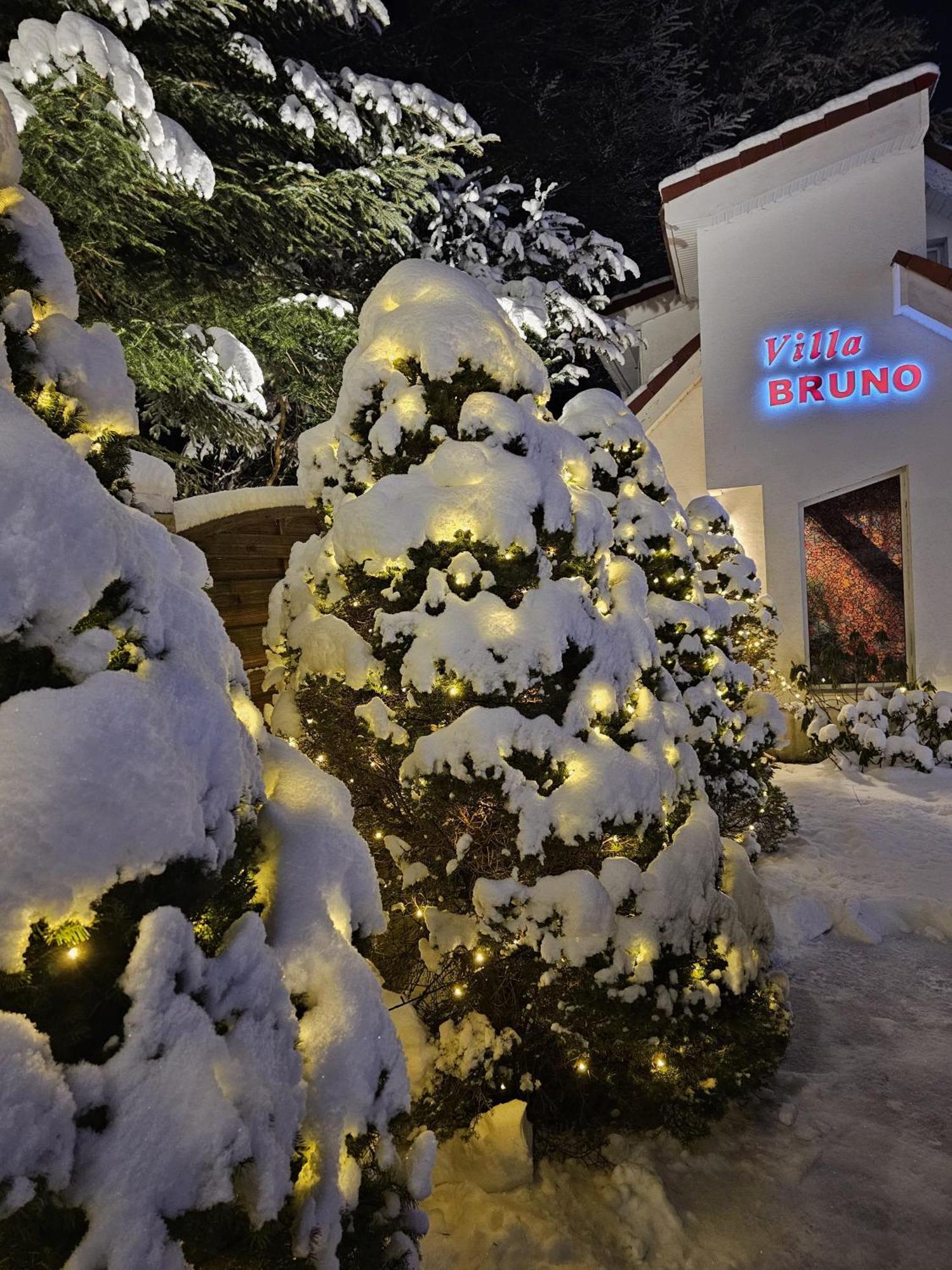 Boutique Hotel Forest Retreat (Adults Only) Busteni Exterior photo