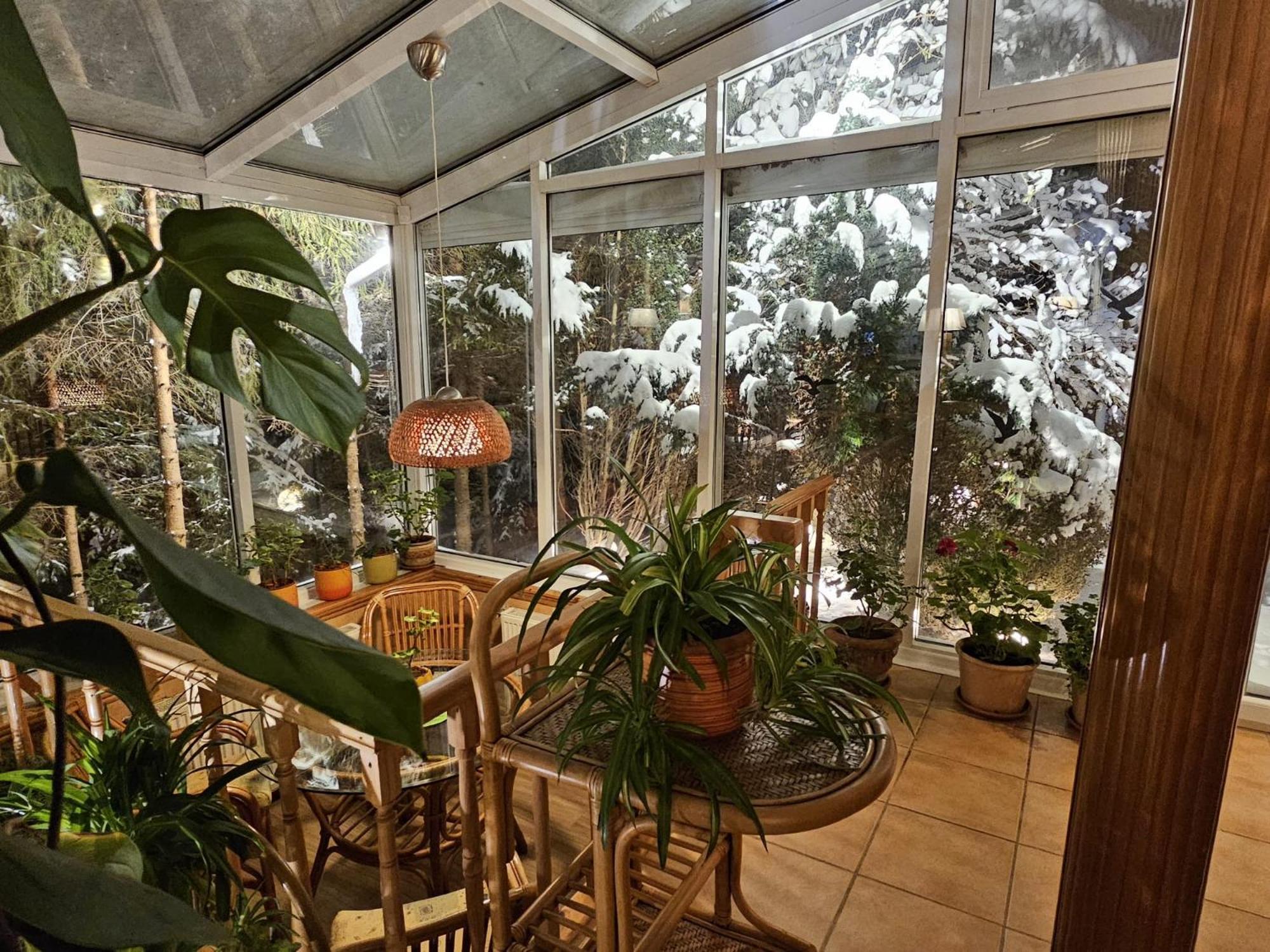 Boutique Hotel Forest Retreat (Adults Only) Busteni Exterior photo