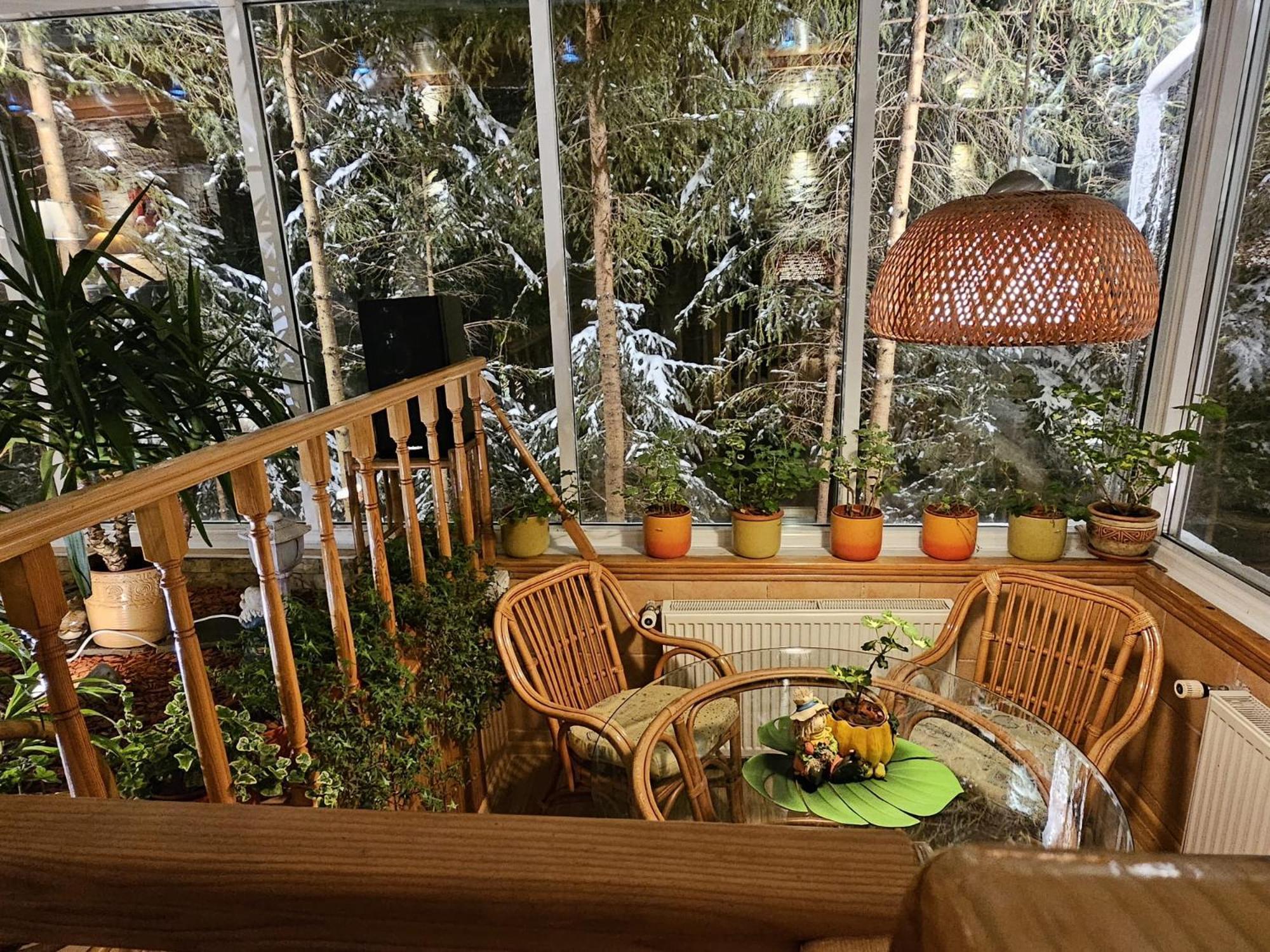 Boutique Hotel Forest Retreat (Adults Only) Busteni Exterior photo